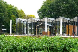 Herfstworkshop